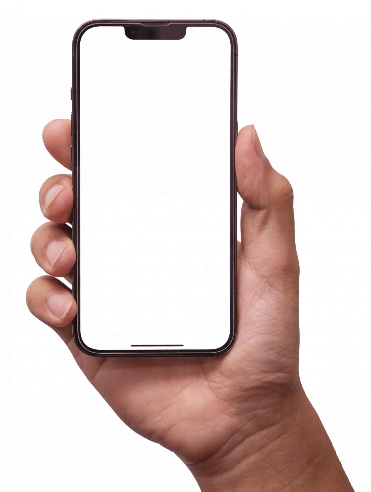 Revalo running on a phone